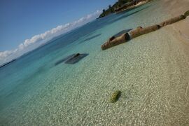 うりずんの沖縄へ４泊５日　１日目・２日目　本部編