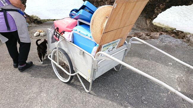 久々にうりずんの沖縄へ。<br />と言いながらも初日から雨・・・。<br />ほぼほぼ予定も決めないのんびり旅をしてきました。<br /><br />１日目<br />羽田（６：２０）　→　沖縄（９：００）　ＪＡＬ９０１<br /><br />宿泊：Ｍｒ.ＫＩＮＪＯ　ＭＯＴＯＢＵ<br /><br /><br />２日目<br />宿泊：Ｍｒ.ＫＩＮＪＯ　ＭＯＴＯＢＵ<br /><br /><br />３日目<br />浜比嘉島散策<br /><br />宿泊：ホテル浜比嘉リゾート<br /><br /><br />４日目<br />浜比嘉島散策<br /><br />宿泊：Ｍｒ．ＫＩＮＪＯ　ｉｎ　Ａｒｃａｄｅ　ａｎｇｅ　ｍｉｏｎａ<br /><br /><br />５日目<br />沖縄（１３：１５）　→　羽田（１５：４０）　ＪＡＬ９０８