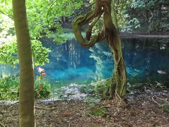 晴れおじさん「コロナ自粛解除で鳥海山の湧水」を巡る(その１)