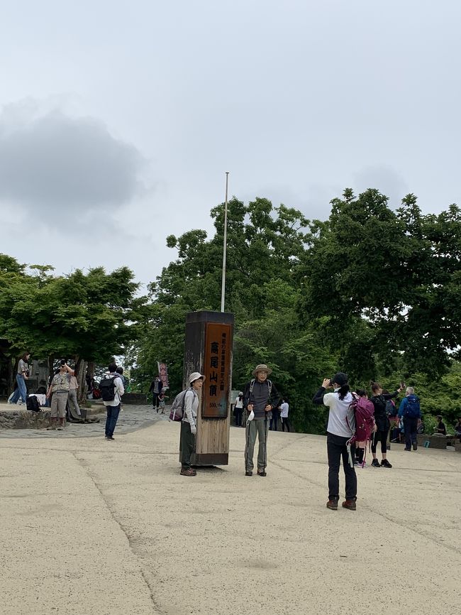 新型コロナウイルス感染症の緊急事態宣言が解除され、高尾山に行ってもいいことになったので、行ってみることにした。<br />9時頃に高尾駅に到着し、京王の高尾駅に移動。高尾山口駅に9時15分頃に到着。駅周辺にはそれなりに人がいたが、稲荷山コースの登山道を登り始めると、人は少なかった。<br />すぐに息が上がって、汗が出てきて、マスクをしているのが辛くなった。降りてくる人と行き違うときだけ、マスクをするようにした。<br />40分ほど登って、ベンチで休憩。持って行ったバナナを食べ、お茶を飲んだ。<br />思ったより早く、10時半過ぎに山頂に到着。山頂もそれほど混んではいなかった。石垣に腰掛け、おにぎりを食べ、お茶を飲んだ。曇り空だったので、富士山は見えなかった。<br />トイレに行ってから、11時過ぎに1号路で下山。薬王院、浄心門、たこ杉、さる園を過ぎ、6号路の琵琶滝に向かう登山道に入った。足が疲れてきて、足元がふらふら。早く降りる人に追い抜かれた。<br />12時頃にケーブルカーの駅まで降りた。駅前で休憩し、まだ残っていたおにぎりを1個たべ、高尾山口駅に向かった。高尾まんじゅうのお土産屋でまんじゅうを買った。<br />