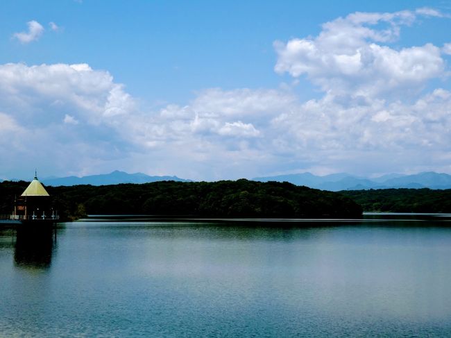 私が武蔵野三十三観音の32番子ノ権現と33番竹寺がハイキングを兼ねて<br />友人と回った頃に<br />https://4travel.jp/travelogue/11611188<br />秩父を歩き遍路で回られたぶりてつさんが<br />今度は武蔵野三十三観音を巡礼されていると知りました。<br />https://4travel.jp/travelogue/11595598<br /><br />ちょうど武蔵三十三観音は4月1日から総開帳とのこと。<br />だったら私も!と思ったのに、コロナウイルスの関係で<br />御開帳はなくなり御朱印も受け付けなくなってしまいました。<br />(この旅行記を書いている6月には御開帳と御朱印は再開しています。)<br />国も自粛ムードでウロウロしている場合じゃない?という雰囲気で<br />なかなか回る気にもならない。<br /><br />だったら、武蔵野三十三観音とダブお寺もある狭山三十三観音を回ろうかな?<br />以前から気になっていた狭山三十三観音。<br />こちらは小さいお寺が多くほとんどが書置きでしかも無住寺院もあるので<br />個人のお宅で御朱印を頂かなくてはならなかったりということで<br />お寺を回るだけで御朱印は頂かないことにしようと思います。<br />