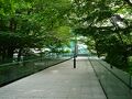 仙石原の旅行記