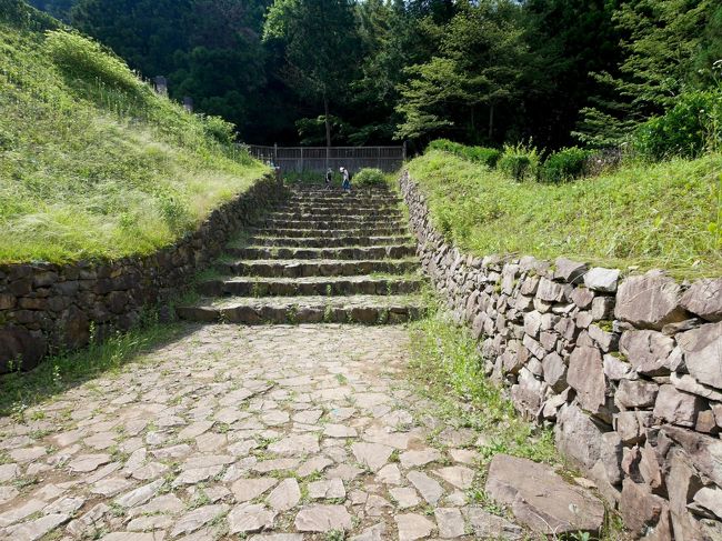 どこにも行けないので，八王子城跡に行ってみよう．父がここに登るのが好きで，整備されていなかった昭和の時代に毎年のように登った．一度は誤って，恩方松竹側に降りてしまい，バスを乗り継いで，自家用車を取りに行ったこともある．中学になってからすっかりご無沙汰してしまった．整備されたので一度行ってみたいと思いながら，来る機会がなかった．滝山城や平山城，津久井城は10年ほど前に行ったのだが，遠くの旅行が多く地元は後回しになってしまった．灯台下暗し．東京タワーも子供の頃行って以来ご無沙汰している．<br />コロナ禍でどこにも行けないので，運動不足解消もかねて，日曜午後から向かう．ガイダンス施設も多くの展示は中止され，ボランティアガイドも中止だったが，晴れた初夏の昼下がり，緑がきれいだった．最初に居館地区からめぐる．ここは天領だったことや，明治以降も国有林であったため，当時の様子がよく残っていたという．