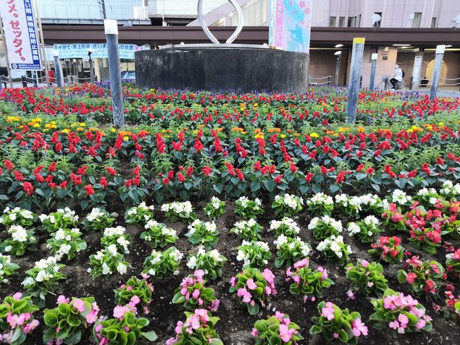 ☆バイクで羽村に行ってみた！☆100均ダイソー巡り