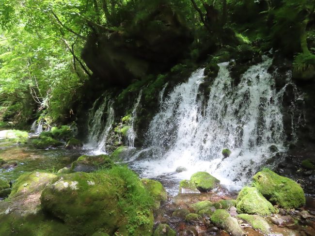 ようやくコロナ自粛が解除されました。東北六県と新潟県で発令していた県境を越える移動の自粛も6月1日から解除されたので、久しぶりに県を跨いだドライブ旅行に出かけることにしました。<br />テーマは「鳥海山の湧水」。コロナ禍でたまったストレスを清らかな水できれいさっぱり洗い流すとしましょう。<br />山形県側の「その1」と秋田県側の「その2」に分けて投稿させていただきます