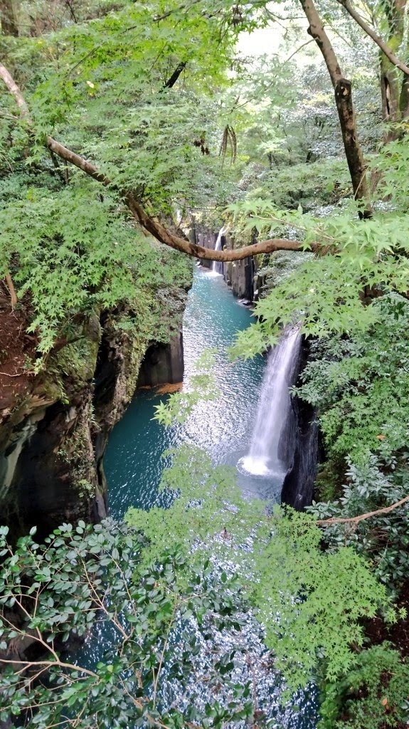 母親の強い希望で九州宮崎の高千穂周辺と、湯布院温泉へ行ってきました。<br />大分空港IN/OUT・2泊3日のドライブ旅行です！