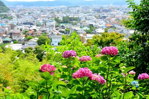旅恋しい今...4トラ仲間と「鎌倉」リフレッシュ』鎌倉(神奈川県)の旅行