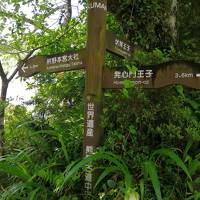 和歌山の世界遺産を歩きたいと息子が言うので　その1は湯の峰温泉と熊野古道中辺路