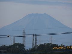 久しぶりに見られた富士山