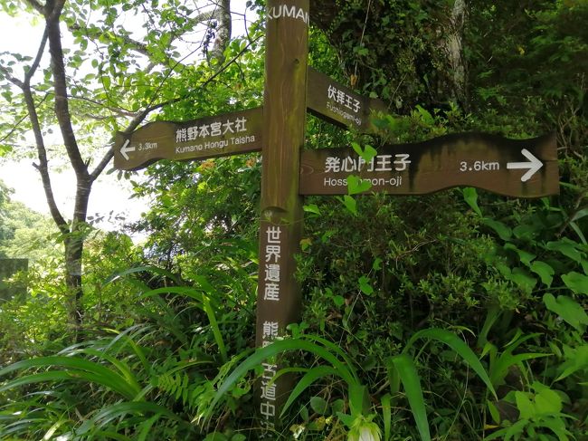 和歌山の世界遺産を歩きたいと息子が言うので　その1は湯の峰温泉と熊野古道中辺路