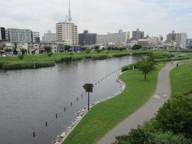 これまであまり訪れたことがなかった平井、立花周辺を散策してきました。<br />特徴ある寺社が多く、広々とした公園もあり、散策していてすがすがしく楽しい気持ちになれるエリアでした。