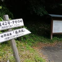 和歌山の世界遺産を歩きたいと息子が言うので　その2はすさみ温泉と熊野古道大辺路