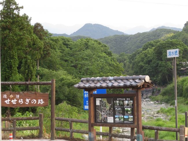 群馬サファリパークは、初めて高速道路を使って動物園デビューしたところです。<br />それがつい去年2019年11月。<br />20年以上もペーパードライバーで、我が家の車は10年近く乗っている軽自動車。<br />家庭で必要があってペーパードライバーを脱してから数年たちますが、週末限定でせいぜい近所を30分程度しか乗っていなくて、いまだ駐車場にまっすぐ駐められない私が、それでも高速道路を利用して群馬サファリパークにデビューするまで、どんなに心理的ハードルが高かったか！<br />その群馬サファリパークも今回で３回目。<br />そして、2020年３月と、緊急事態宣言が解除されてからは当分の間、コロナ対策として動物園アクセスは公共交通手段ではなく車で行けるところに限定しているため、あれから甲府と千葉と栃木まで車デビューを果たしました。<br />栃木行きの東北自動車道は別として、甲府と千葉行きのための高速利用はかなりーと怖かったです。<br />ああ、それに比べると、群馬行きは、私にとって難易度が下がったことか！<br /><br />群馬サファリパークに行くなら、レッサーパンダがいるバードパークだけなら、駐車場代500円とバードパーク入園料200円とお得ですが、せっかく行くならショッピングも楽しみたいです。<br />サファリパークのようなところの売店には、地元の食品の買い物も楽しめるからです。<br />そして、群馬サファリパークの売店に販売されていたのをきっかけで知った、次亜塩素酸の除菌消臭剤ミステアも買い足したいと思っていました。<br />もちろん、帰りに道の駅甘楽に寄ることも外せません！<br />なので、公式サイトをチェックしながら、レストランはあきらめがつくにしても、売店の営業再開のお知らせを待ちました。<br />レストランは休業中でも、軽食売店は営業していて、迷うくらい食べるものがあります。<br />どちらかというと、ふだんは食べないけれど、お祭り気分だからこそ手が出るようなメニューがメインですけど@<br /><br />楽しみなショッピングについては、群馬サファリパークの売店も道の駅「甘楽」でも、あからさまに品薄感がありましたが、３度目で４ヶ月ぶりなのでそんなにたくさん買うわけではないのでそれでも十分楽しめました。<br />次亜塩素酸も、品切れだとしても仕方が無いと思いましたが、携帯用の小型スプレーの方は売り切れていましたが、大ボトルの方はありました！<br />次亜塩素酸のミステアはいまは手指やドアノブなどの消毒にも使っていますが、もともとその絶大な消臭効果が気に入っているのです。<br /><br />３度目の今回の群馬サファリパーク再訪は前回の11月や２月と違って日照時間が長かったので、営業終了まで群馬サファリパークにいて、帰りに道の駅甘楽に寄ってもまだ十分明るかったことから、道の駅のすぐ近くの雄川のほとりの散策路と郷愁を誘う町並みと背景に山のある景色を、ちょびっとだけですが、楽しむことができました。<br /><br />また３度目の今回の再訪でこれまでと大きく違って新しいチャレンジができたのは、マイカーサファリです！<br />群馬サファリパークでは、サファリエリアも楽しみなのですが、１番手軽でオプション料金＋500円ですむサファリバスは、あいにくまだ運休中でした。<br />サファリエリアに入るには、エサやりバス（1,300円）か飼育体験バス（2,600円）しかありません。<br />と思ったら、今の私はなら自分の車でマイカーサファリという選択肢があるんでした！<br />マイカーでサファリエリアに入ると、動物たちに車を傷つけられるリスクはあります。<br />それに自分でハンドルを握りながら写真を撮るのは難しいと思いました。<br />でも、これまでの２度、サファリパスから見学した限りでは、ここのサファリエリアではマイカーからエサやり体験はできないため、動物たちがマイカーに群がることはないですので、よほどのことがない限り、そのリスクはないと思いました。<br />しかもありがたいことに、コースは２車線なので、後続車が追い抜けるため、自分のペースで回ることができます。<br />なので、写真を撮るときには車をストップさせればいいのです！<br />そのマイカーサファリは、今回、めちゃくちゃ楽し買ったです！<br />写真収穫も、サファリバスで巡るよりチャンスに恵まれました！<br />この旅行記ではマイカーサファリについてはさわりの写真のみ収め、動物写真の方は知り経ず３本目の旅行記にまとめました。<br /><br />＜車アクセスがすっかりハードルが低くなった３度目の群馬サファリパークの旅行記のシリーズ構成＞<br />■（１）サファリパークいろいろ＆マイカーからも撮影サファリエリア＆帰りに寄った道の駅のある甘楽<br />□（２）レッサーパンダがいるバードパークとゆっくり回れたウォーキングサファリは赤ちゃんたくさん！<br />□（３）初マイカーサファリ体験！～自分のペースでゆっくり回り見応えシーンを運転席から撮り放題！<br /><br />野生の王国 群馬サファリパークの公式サイト<br />http://www.safari.co.jp/<br /><br />道の駅公式サイトの群馬県道の駅「甘楽」のページ<br />https://www.michi-no-eki.jp/stations/view/313<br />道の駅「甘楽」の公式サイト<br />http://www.town.kanra.gunma.jp/kanko/spot/busan/index.html<br />甘楽町の公式サイトの道の駅「甘楽」のページ<br />http://www.town.kanra.gunma.jp/s-busan/busan/news/01.html<br /><br />＜タイムメモ＞<br />08:10　家を出る<br />08:30頃　鶴ヶ島インターで関越自動車道へ<br />（高速道路では100km/hで走れた）<br />（渋滞皆無）<br />09:10　富岡インターを出る（1,700円）<br />09:25　群馬サファリパーク到着（第１駐車場）（約１時間15分）<br />（マイカーサファリの場合はは総合案内所で受付をしない）<br />（09:30　開園）<br />09:35-09:50　売店「マルシェ」でウィンドウショッピング★<br />10:00　バードパーク開園<br />10:00-11:00　バードパークのレッサーパンダ<br />（ほかにもカンガルーやペンギンやカピバラなど）<br />（レッサーパンダのエサやり体験中止）<br />11:00-11:25　フライングバードショー<br />（開始５分ほど遅れる）<br />11:30-11:45　バードパークのレッサーパンダ他<br />11:50-12:40　ランチ休憩★<br />12:50-13:20　バードパークのレッサーパンダ<br />（屋外のひまりちゃん目覚める）<br />13:35　マイカーサファリの受付（５分ほど）<br />13:40-13:55　マイカーサファリ前半★<br />14:05-15:35　ウォーキングサファリ★<br />（駐車場待ち10分ほど）<br />15:40-16:10　マイカーサファリ後半★<br />16:15-16:30　バードパークのレッサーパンダ<br />（屋内のケンタはすでに展示終了）<br />（バードパーク閉園16:30）<br />16:35-16:55　売店「マルシェ」で買い物（閉園17:00）★<br />17:10　駐車場を出発<br />17:15-17:40　道の駅「甘楽」で買い物★<br />19:25頃　帰宅<br />（途中５キロほど事故渋滞）<br /><br />＜前回の２回目の群馬サファリパークの旅行記＞<br />2020年２月９日<br />「車で２度目は冬の群馬サファリパーク（１）行きは風に煽られ帰りは渋滞のだらだら運転は眠くて肝冷やす～サファリと道の駅で前回以上にたっぷり買い物」<br />https://4travel.jp/travelogue/11598435<br />「車で２度目は冬の群馬サファリパーク（２）レッサーパンダ同居なし・おやつタイムに淡泊なケンタくん～イベントホールで仔ライオンにめろめろ@」<br />https://4travel.jp/travelogue/11599760<br />「車で２度目は冬の群馬サファリパーク（３）サファリバスでサファリゾーン＆オオカミ繁殖センターも含めて今度はウォーキングゾーンもゆっくり回る」<br />https://4travel.jp/travelogue/11599771<br /><br />＜初めての群馬サファリパークの旅行記＞<br />2019年11月３日（３日連休中日）<br />「車で群馬サファリパーク・デビュー（１）行きは高速道路ですいすい・帰りは夜の山道とカーブの裏道だらけ＆たっぷりおみやげとサファリパークいろいろ」<br />https://4travel.jp/travelogue/11562727<br />「車で群馬サファリパーク・デビュー（２）レッサーパンダのひまりちゃんケンタくんとバードパークの仲間たち＆有志の子供も可愛かったバードショー」<br />https://4travel.jp/travelogue/11563731<br />「車で群馬サファリパーク・デビュー（３）サファリバスでサファリゾーンも満喫～ライオンやバイソンやシカやシマウマなど動物の赤ちゃんもいっぱい」<br />https://4travel.jp/travelogue/11563736<br /><br />※これまでの動物旅行記の目次を作成済。随時更新中。<br />「動物／動物園と水族館の旅行記～レッサーパンダ大好き～　目次」<br />http://4travel.jp/travelogue/10744070<br />