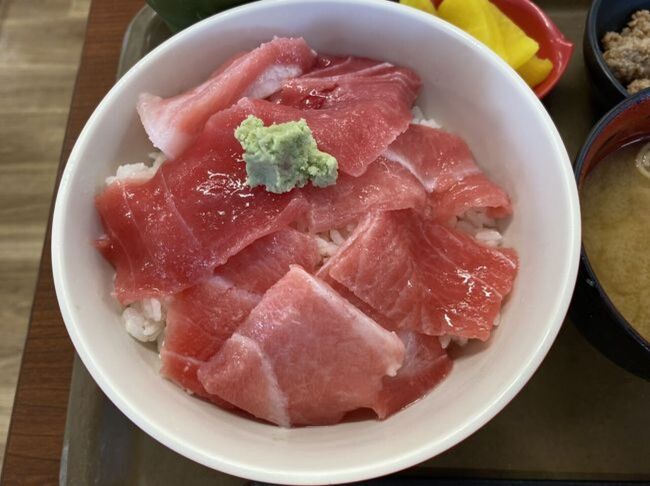 愛知県は感染者が少なく近隣の三重県、岐阜県への旅行は解禁されました。さっそく旅行のリハビリがてら鉄道旅でうまいものとビールを求めて旅に出ました。もちろんマスクと携帯アルコール、3密を防ぐプランです。新しい生活様式を試し、来月の九州旅へのステップ旅です。