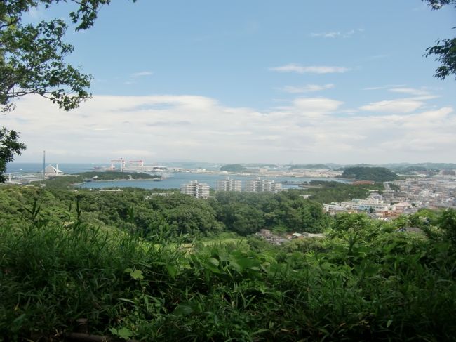 横浜市南部の海の公園の砂浜が潮干狩りに適する大潮の週末以外の期間限定で開放になった。海の公園の潮風を浴びながらサイクリングしたあと、以前登頂できなかった称名寺市民の森の金沢山頂から金沢湾を遠望した。称名寺参道から金沢区の歴史も道へ抜けてみた。