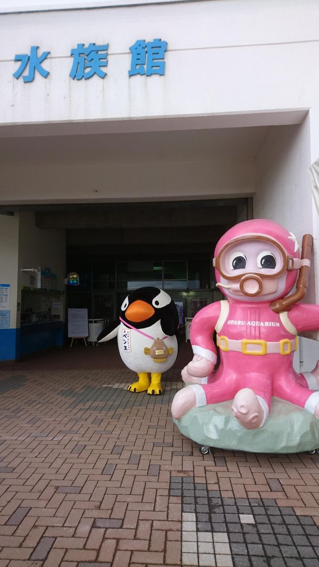 小樽にも春。水族館も再開です。