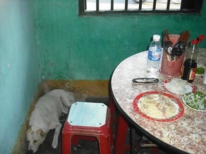 11年前にベトナム中部にある世界遺産の町ホイアンへ行きました。<br />ベトナム航空の国内線でホーチミンからダナンまで1時間ちょっとで行けます。<br />ダナン空港からホイアンまではタクシーで移動。<br />30分程で着きました。<br />とても治安が良くて過ごしやすい町だと思いました。<br />月に一度、満月の夜(旧暦で14日)に開催されるランタン祭りの時はホテルも込み合うそうです。<br />私が行った時期はランタン祭りの時期では無かったのですが<br />町を歩いてるとランタンを時々見かけました。<br />ランタンやさんもありました。小さなサイズもあるのでお土産にもいいと思います。<br />ホイアンから自転車をレンタルしてビーチにも行きました。<br />現在は日本からダナンの直行便もありアクセスしやすくなったようです。<br />詳しくはこちらにも書いているので興味のある方は是非読んでみて下さいね。<br />↓↓↓<br />世界文化遺産の町ホイアンでの出来事<br />https://ameblo.jp/dreamingisfree/entry-12601332852.html<br /><br />ホイアンの郊外にあるクアダイビーチへ<br />https://ameblo.jp/dreamingisfree/entry-12602078880.html