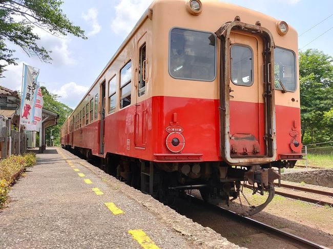 小湊鉄道は春の菜の花が咲くシーズンがお薦めである。新型コロナウィルスのこともあり今年は訪問できなかった。東京のロードマップもようやくSTEP2になったので、なるべく三密をさけれる場所であるローカル線の初夏の緑がはえる小湊鉄道に行ってきました。<br />