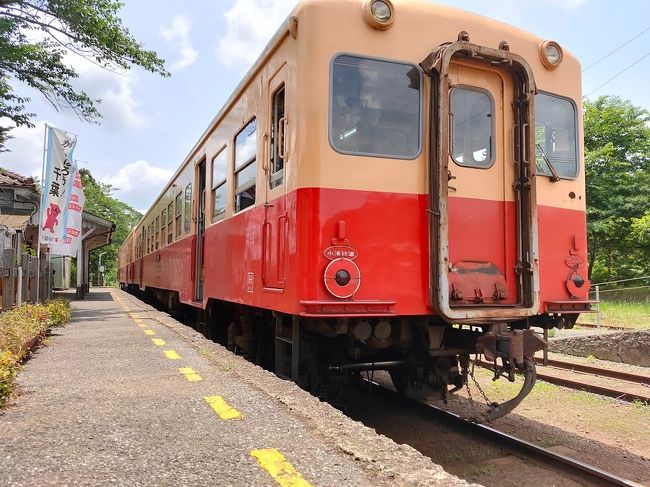 入梅前の小湊鉄道（初夏）