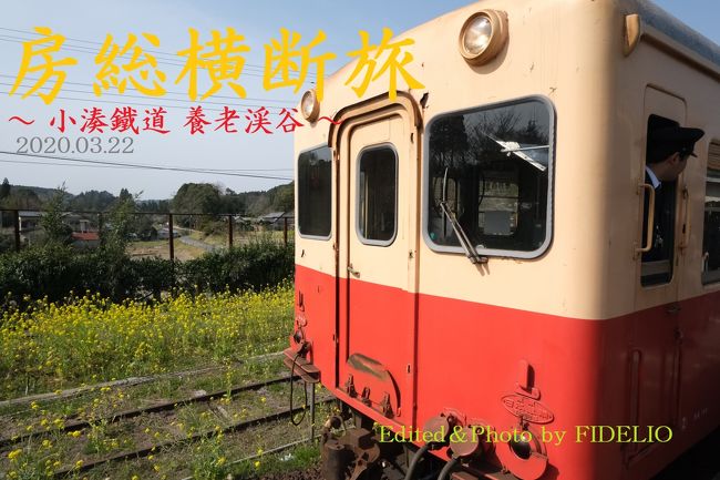 春 春の房総横断日帰り旅 菜の花が咲く里山と城下町を訪ねて 養老渓谷編 養老渓谷 千葉県 の旅行記 ブログ By Fidelioさん フォートラベル 春 春の房総横断日帰り旅 菜の花が咲く里山と城下町を訪ねて 養老渓谷編 養老渓谷 千葉県 の旅行記 ブログ By Fidelioさん フォートラベル