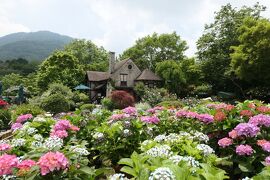 初夏の箱根♪　Vol.38　☆箱根ガラスの森美術館：美しい初夏の風景♪