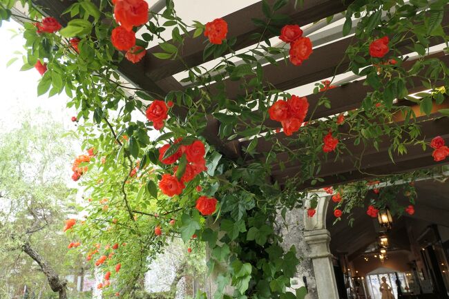 初夏の箱根♪　Vol.42　☆箱根ガラスの森美術館：美しい初夏の風景♪