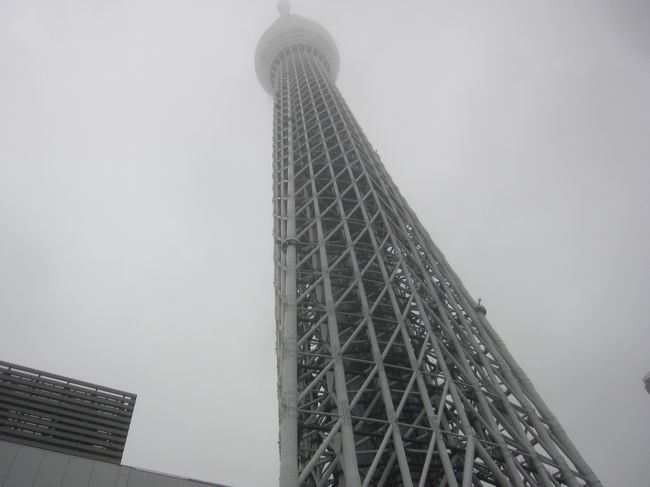 東京アラートが解除されて最初の週末ですが､雨・雨・雨<br />日曜日は午後から雨が上がる予報だったので、雨が上がるころを見計らって出かけました<br />今回は錦糸町から東京スカイツリーに向かって歩きます<br />時間も短かったので､本日は18,638歩と2万歩には及ばず､2時間ほどのお散歩となりました<br /><br />【表紙の写真】雲で上部が霞んだ東京スカイツリー