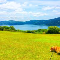 箱根温泉にペットと一緒に宿泊！星の王子さまミュージアムや絶景ドッグランなどの観光も！