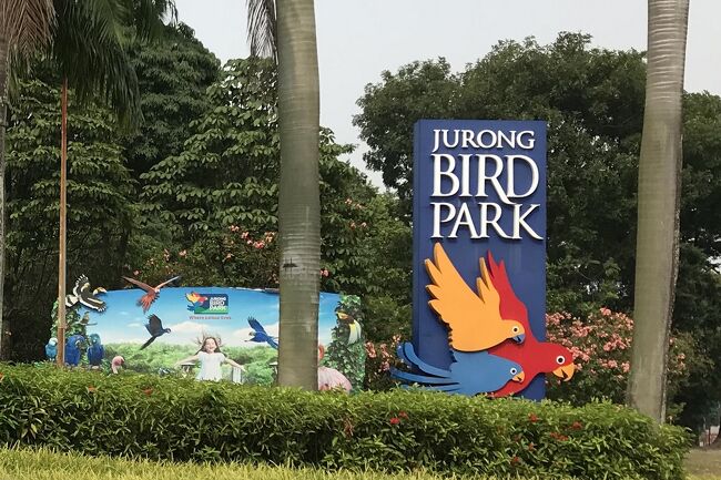 シンガポールの動物園&水族館を網羅すべく4泊7日のひとり旅をしてきました。<br /><br /> 0日目:羽田空港(https://4travel.jp/travelogue/11547983)<br /> 1日目:チャンギ空港→市街地(https://4travel.jp/travelogue/11573862)<br /> ≪River Safari≫ https://4travel.jp/travelogue/11576145<br /> https://4travel.jp/travelogue/11580253<br /> https://4travel.jp/travelogue/11581860<br /> https://4travel.jp/travelogue/11582479<br /> 夕食→ホテル(https://4travel.jp/travelogue/11583266)<br /> 2日目:街歩き→セントーサ島(https://4travel.jp/travelogue/11586379)<br /> ≪S.E.A Aquarium≫ https://4travel.jp/travelogue/11587050<br /> https://4travel.jp/travelogue/11589782<br /> https://4travel.jp/travelogue/11591341<br /> セントーサ島観光(https://4travel.jp/travelogue/11595026)<br /> 3日目:≪Singapore Zoo≫ https://4travel.jp/travelogue/11602397<br /> https://4travel.jp/travelogue/11606334<br /> https://4travel.jp/travelogue/11611439<br /> https://4travel.jp/travelogue/11614263<br /> https://4travel.jp/travelogue/11616322<br /> https://4travel.jp/travelogue/11617019<br /> https://4travel.jp/travelogue/11618407<br /> ≪Night Safari≫ https://4travel.jp/travelogue/11619105<br /> https://4travel.jp/travelogue/11619557<br /> https://4travel.jp/travelogue/11620870<br /> 4日目:ブギス→オーチャード(https://4travel.jp/travelogue/11623177)<br /> マリーナベイサンズ周辺(https://4travel.jp/travelogue/11627725)<br /> 5日目:≪Jurong Bird Park≫<br />今ココ→ 入園→繁殖センター<br /> High Flyers Show(https://4travel.jp/travelogue/11633369)<br /> 湿地→ローリーロフト(https://4travel.jp/travelogue/11636923)<br /> 猛禽類→ペリカン(https://4travel.jp/travelogue/11638783)<br /> 滝のケージ(https://4travel.jp/travelogue/11639549)<br /> オウムの楽園(https://4travel.jp/travelogue/11639824)<br /> Kings of the Skies(https://4travel.jp/travelogue/11641187)<br /> 6日目:チャンギ空港→羽田空港(https://4travel.jp/travelogue/11641860)<br /> まとめ:お土産、費用(https://4travel.jp/travelogue/11644022/)