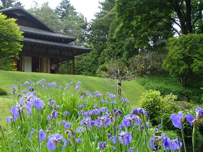 6月15日は栃木県民の日です。これにちなんで、その前後にある土日は県の施設が無料開放されます。<br /><br /> 去年は、なかがわ水遊園へ行ったし、その前はあしかがフラワーパークへ行きました。さて、今年はどこへ行こうかな、と調べるうちに、ずっと前から行ってみたかった日光田母沢御用邸記念公園と、イタリア大使館別荘記念公園、英国大使館別荘記念公園も、無料開放されることを知り、天気予報は雨とありましたが、新緑の日光を楽しんでこようと思い立ちました。<br /><br /> 夫の両親も誘って、日光の自然に触れ、一流建造物を愛でる優雅な日帰りの旅となりました。