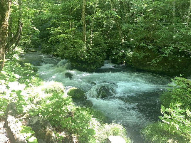 十和田湖の休屋と奥入瀬渓流の中間あたりの石ケ戸から雲井の滝までの3kmの渓流を往復で散策した。歩いていると滝が現れて飽きない散策路できちんと整備されていて案内板もあり歩きやすかったです。