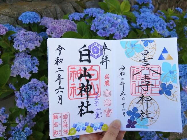 ＪＲ中央線沿いの八王子周辺にある神社に御朱印をもらいに行ってきました。<br />旅行記は４つに分けました。旅行記２は西八王子にあるある日吉八王子神社です。<br /><br />★散歩ルート（☆は御朱印をいただいた神社です）<br />高尾駅→白山神社☆→蕎麦と杜々（すだちの冷かけ蕎麦）→西八王子駅→宗格院→日吉八王子神社☆→日野駅→日野八坂神社☆→立川駅→拝島日吉神社☆→阿佐ヶ谷駅→阿佐ヶ谷神明宮☆→吉祥寺駅→氷屋ぴぃす（かき氷）