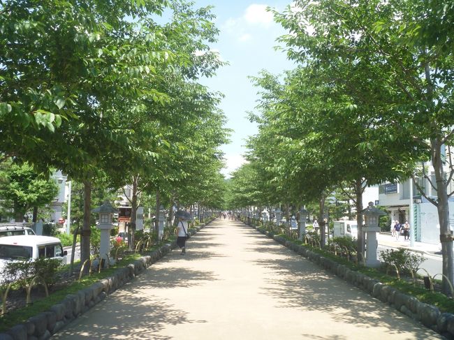 大船に泊まって、鶴岡八幡宮に行っただけです。<br />でも、久しぶりの外泊だったので、個人的には楽しめました。