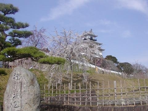 東海道を簸たすら歩いてみました動機は単純です。<br />直立二足歩行のＤＮＡに従うまでのこと<br />たまたま住居が東海道沿いであること<br />そして安価な方法であること<br />この安価な方法を駆使することで脳の活性化(呆け防止)ができる<br />健康維持はすなわち医療費の削減<br />始めはどうなることかと想いきや<br />結構楽しむことができました<br />箱根はやはり天下の険でした<br />歩きやすさは三重県が一番<br />愛知は最悪、車最優先、トヨタの険<br />天下の東海道とは名ばかり<br />これからは歩き優先のゆったり社会の筈<br />歩くスピードが心地よくいろいろな人に出会えました<br />さて次なる処は・・・