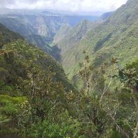 ダンナのウルトラトレイル応援旅 -No.7レユニオンの164km山岳レース“クレイジーたちの対角線”