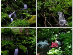 ◆初夏の裏磐梯・苔に潤う幽玄の沢めぐり