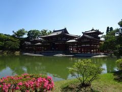 古都京都の文化財（４醍醐寺、５平等院、６宇治上神社）2020.6.8 