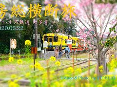 2020春　春の房総横断日帰り旅　～菜の花が咲く里山と城下町を訪ねて～　【大多喜編】