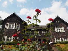 旧古河庭園のバラの花と飛鳥の小径のアジサイ！！