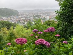 鎌倉の長谷寺　紫陽花の路へ