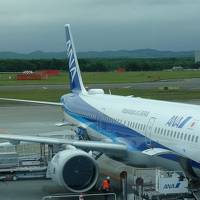 緊急事態宣言解除！初搭乗ＡＮＡ Ａ３２１ＮＥＯ！千歳⇔羽田でレビュー＆ホテルに泊まってマイル修行！(#^^#)♪