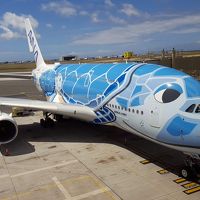 2019年5月気ままに過ごすハワイ12日間⑧帰国編【新設ANAラウンジ・A380ビジネスクラス】★2020年キャンセル★