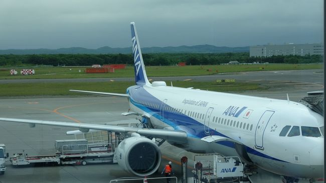 エアバスのA321に乗ってみたくてANAのパッケージツアーで千歳⇔羽田で搭乗してみました!パッケージにホテルのボーナスマイル2000もついてるお得なパッケージツアーでした!これでなんと32000円でした!<br /><br /> 飛行機以外はテキトーに過ごしてきました!もうちょっとA321の機内をもうちょっと撮影すればよかったかなぁ?日程は1泊2日で滞在しましたが、飛行機乗ってそれ以外はテキトーに過ごします!!