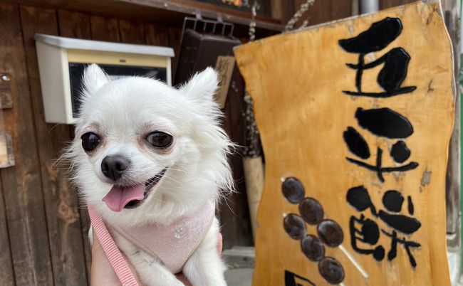 ペットと行くモリコロパークへ息抜き散歩 尾張旭 日進 愛知県 の旅行記 ブログ By マニー1980さん フォートラベル