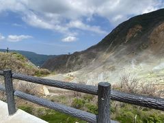 久々の箱根一泊旅行～大涌谷・強羅