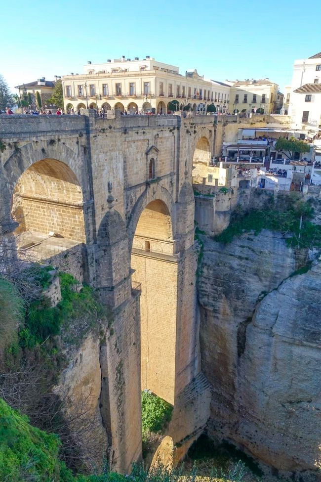 大学時代の友人4人でスペイン周遊旅行。<br />航空券・ホテル・現地ツアーなど全て個人で手配した節約旅。<br />フォートラベルでスペインに造詣が深いchurrosさんに色々とご教示頂き、なんとか旅を進める4人。<br />本日はアンダルシアのプライベートツアー。<br /><br />【全旅程】<br />12/28 関空→広州→アムステルダムへ発<br />12/29 アムステルダム→バルセロナ(街歩き)<br />12/30 バルセロナ2日目(サグラダ・ファミリア)<br />12/31 バルセロナ3日目(年越し)<br />◎1/1 バルセロナ→マガラ→(アンダルシアツアー)→グラナダ<br />1/2 グラナダ(アルハンブラ宮殿)→マドリード<br />1/3 マドリード2日目(トレド・セゴビアツアー)<br />1/4 マドリード3日目(王宮)<br />1/5 マドリード→パリ→広州へ発<br />1/6 広州→関空<br /><br />個人の備忘録的な旅行記なので読みにくくてすみません…。<br />