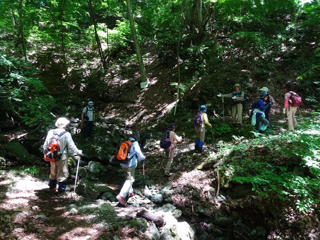 『北上山たびの会』に参加して黒森山へ行ってきました。