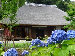 馬場花木園散歩　６月の花（３８種）