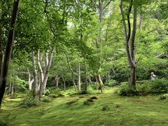 いいタイミングの京都嵐山散策。後編