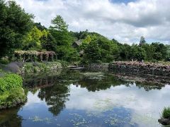 3人と1匹のおばさんの新緑軽井沢♪